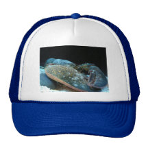 blue lobster hat