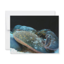blue lobster invitations by pinkypetals blue lobster invitations
