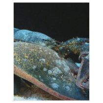 blue lobster letterhead by pinkypetals blue lobster letterhead