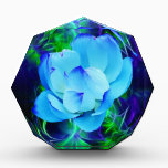 Blue lotus flower and its meaning awards