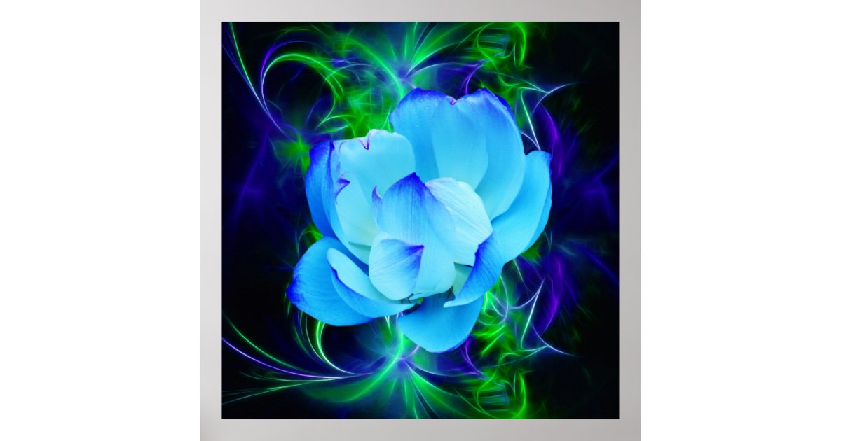 Blue lotus flower and its meaning poster Zazzle