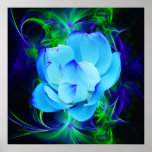 Blue lotus flower and its meaning posters