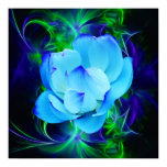 lotus, lily, flowers, blue flower, flower, floral,