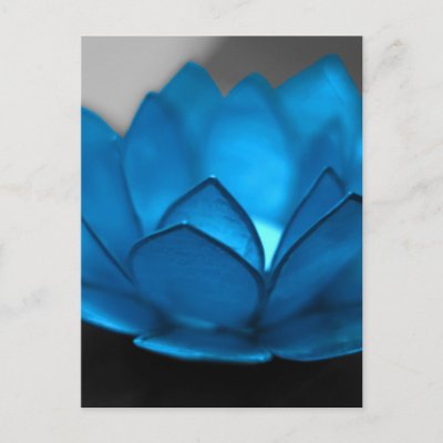 Blue Lotus Flower Postcard