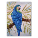 Blue Macaw - Blank Card by SherryWeisel Blue Macaw - Blank Card