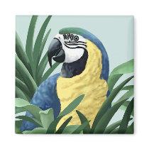 Blue Macaw Magnets