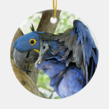Blue Macaw Ornament