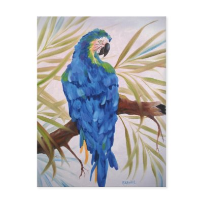 Blue Macaw Post Card by SherryWeisel