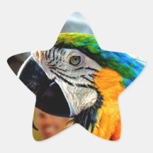 Blue Macaw Stickers