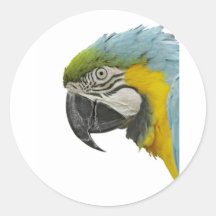 Blue Macaw Stickers