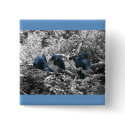 Blue Macaws buttons by cori116 Blue Macaws buttons