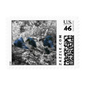 Blue Macaws postage by cori116 Blue Macaws postage
