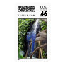 Blue macaws Stamp