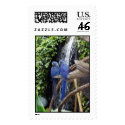 Blue macaws Stamp by creadoporeliana Blue macaws Stamp