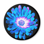 Blue Magic Magnet - Customized