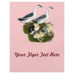Blue Magpie Duck Family Flyers
