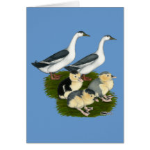Blue Magpie Duck Family Greeting Card