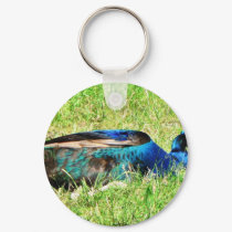 Blue Male Peacock keychains by lifesphere Blue Male Peacock keychains