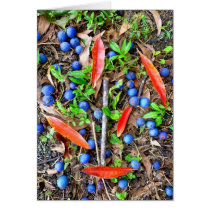 Blue Marble Tree fruit and leaves