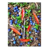 Blue Marble Tree fruit and leaves Print