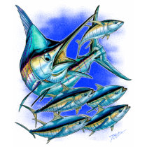 Blue Marlin And Tuna Tees