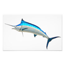 Blue Marlin Game Fish Art Photo