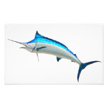 Blue Marlin Game Fish Art Photo