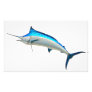 Blue Marlin Game Fish Art Photo