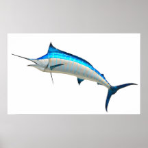 Blue Marlin Game Fish Posters