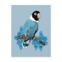 Blue Masked Lovebird Postcard by KandeeK9Designs Blue Masked Lovebird Postcard