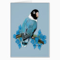 Blue Masked Lovebirds Card