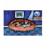 Blue Merle Australian Shepherd in bed T-shirts