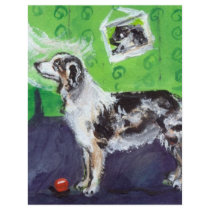 Blue Merle Australian Shepherd senses smiling moon flyers