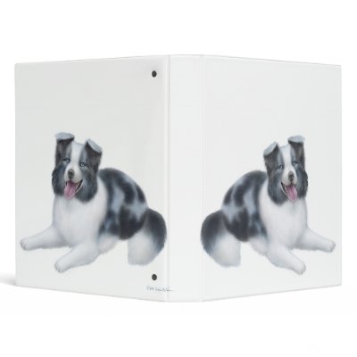 Blue Collie Puppies