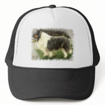Blue Merle Rough Collie Art Gifts hats