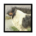 Blue Merle Rough Collie Art Gifts magnets by DogsByDezign Blue Merle Rough Collie Art Gifts magnets