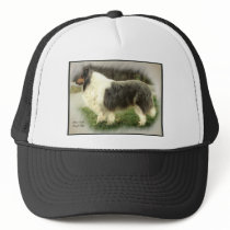 Blue Merle Rough Collie Gifts hats