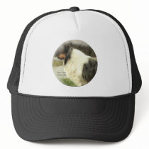 Blue Merle Rough Collie Gifts hats