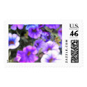 Blue Million Bells stamp