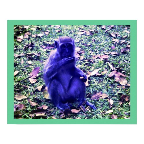 Blue Monkey Poster print