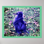 Blue Monkey Poster