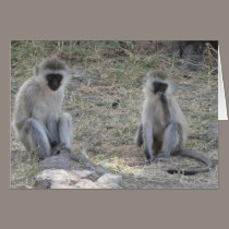 Blue Monkeys cards
