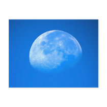 Blue Moon Postcard