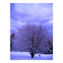 Blue Morning posters by WilowRaven Blue Morning posters