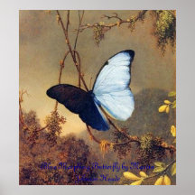 Blue Morphing Butterfly Framed Print