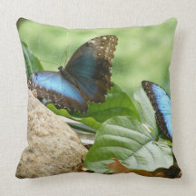 Blue Morpho Butterflies Pillow