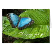 Blue Morpho Butterfly Card