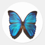 Blue Morpho Butterfly Classic Round Sticker