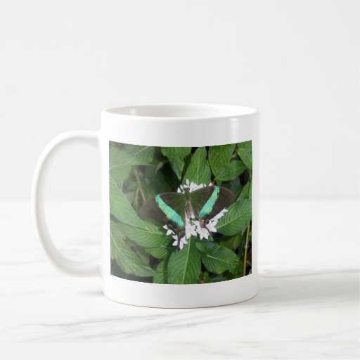 Blue Morpho Butterfly Coffee Mugs