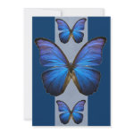 Blue Morpho Butterfly Invitations invitation